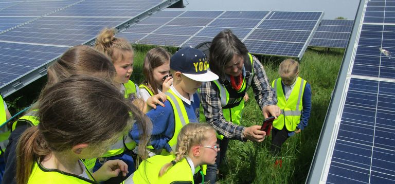 Schoolchildren on site